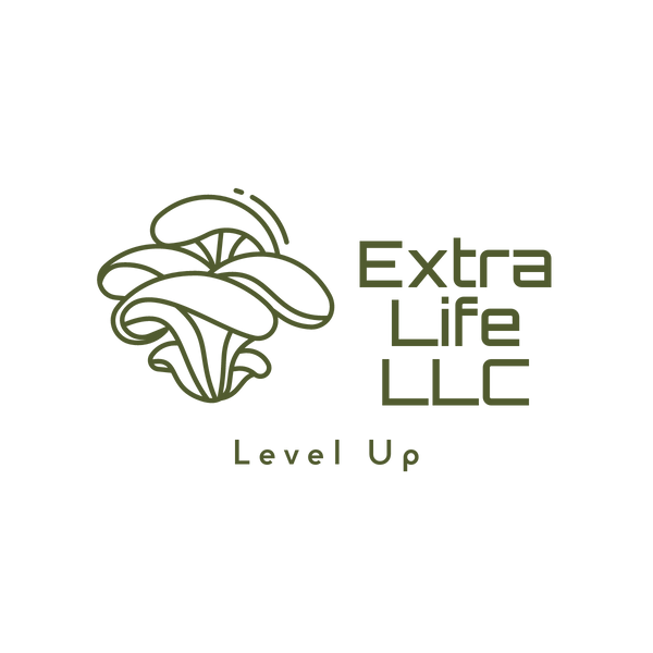 Extra Life LLC